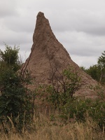 P5183935