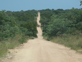 P5183961