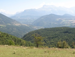IMG 9081