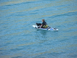 IMG 9082