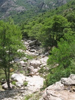 IMG 9607