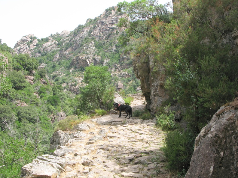 IMG_9624.JPG