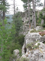 IMG 9661