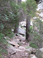 IMG 9665