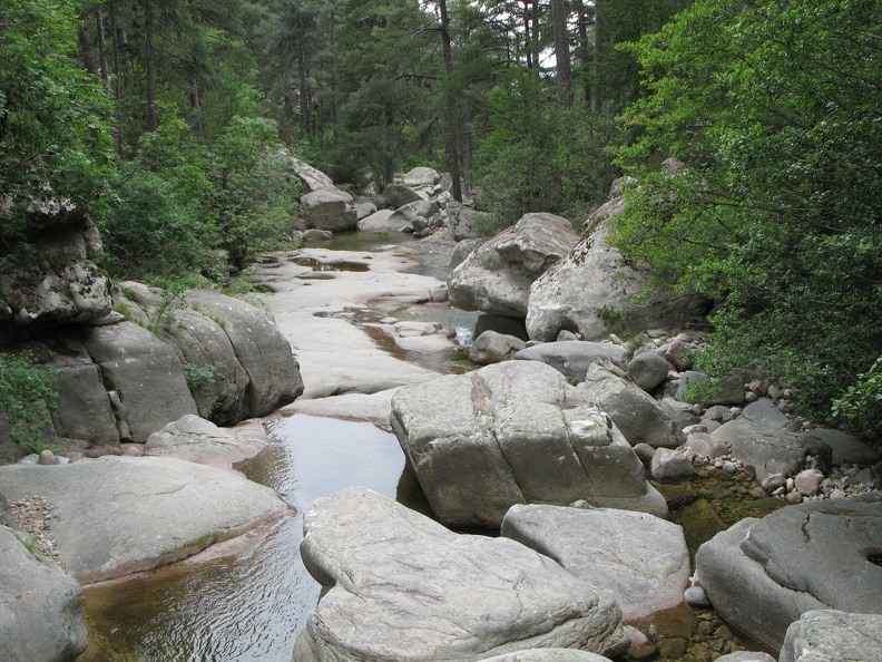 IMG_9671.JPG