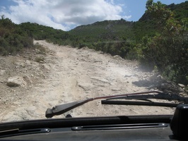 IMG 9528