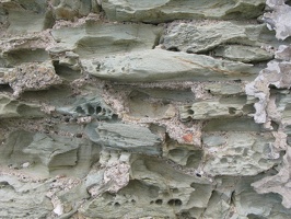 IMG 9439