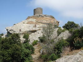 IMG 9456