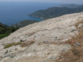IMG 9467