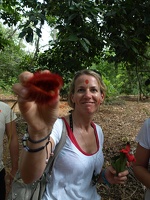 P1195233