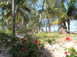 P1195289