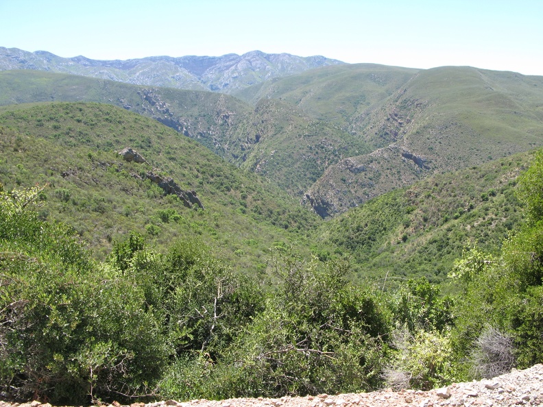 IMG_8796.JPG
