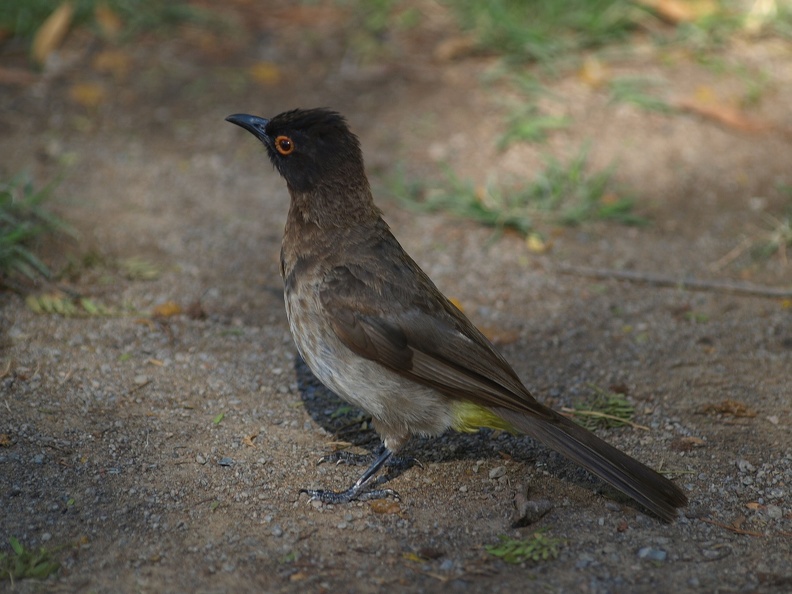 P2124994.JPG