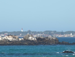P1314342