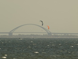 P4231226