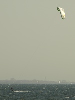 P4231279