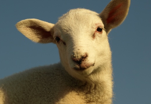Ostern auf Fehmarn 2011