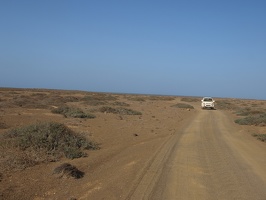 P2233296