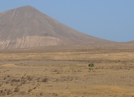 P2233304