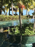 IMG 5713