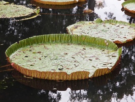 P5305733