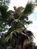 P5305739