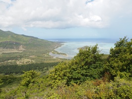 P5295709