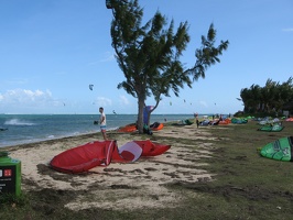 IMG 0616