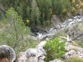 IMG 0675