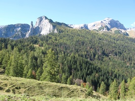 IMG 0730