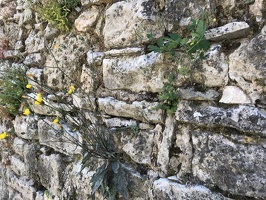 IMG 7080.HEIC