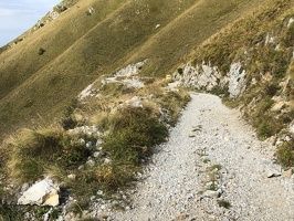 IMG 7518.HEIC