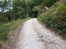 P5017025