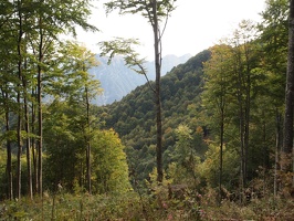 P5017026
