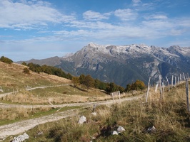 P5017039