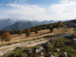 P5017044