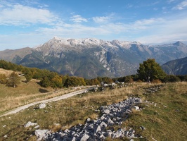 P5017050