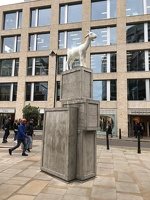 IMG 7750