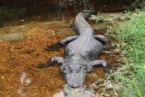 -2739882511465121126_IMG_1435