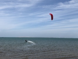 IMG 1386