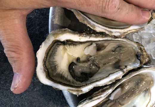 Bretagne östlicher Teil