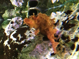 IMG 3445