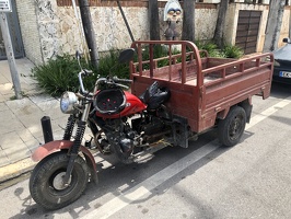 IMG 4893