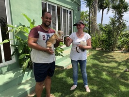 IMG 4933