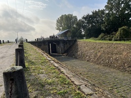 IMG 5506