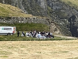 IMG 7334