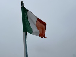 IMG 7338