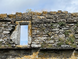 IMG 7355