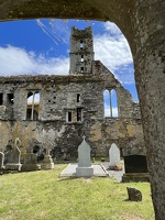 IMG 7356