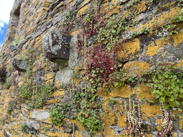 IMG 7358